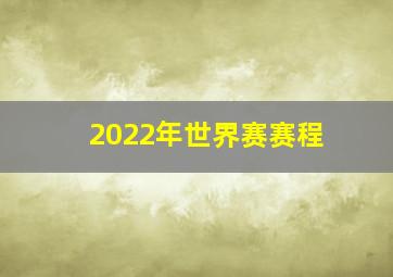 2022年世界赛赛程