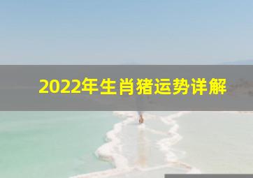 2022年生肖猪运势详解