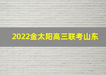 2022金太阳高三联考山东