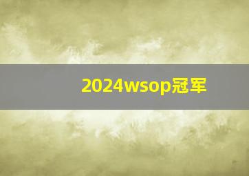 2024wsop冠军