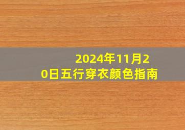 2024年11月20日五行穿衣颜色指南