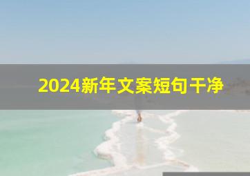 2024新年文案短句干净