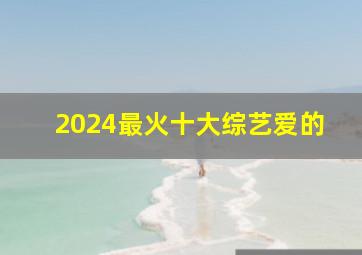 2024最火十大综艺爱的