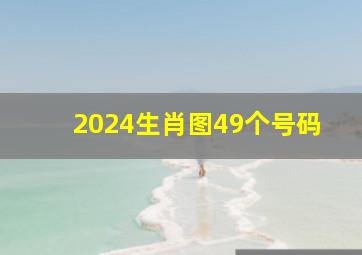 2024生肖图49个号码