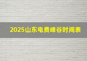 2025山东电费峰谷时间表