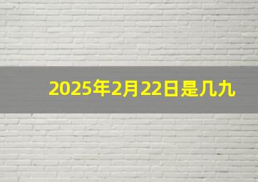 2025年2月22日是几九