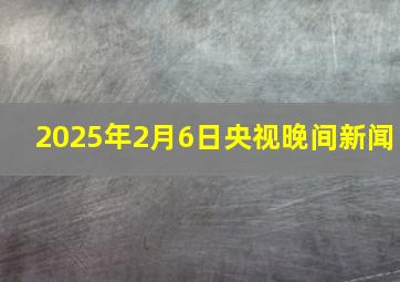 2025年2月6日央视晚间新闻