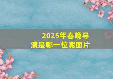 2025年春晚导演是哪一位呢图片