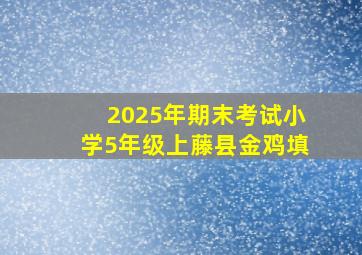 2025年期末考试小学5年级上藤县金鸡填