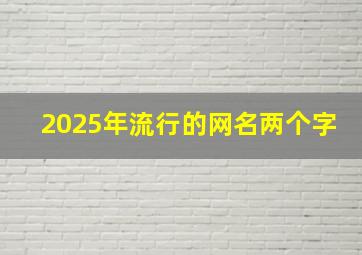 2025年流行的网名两个字