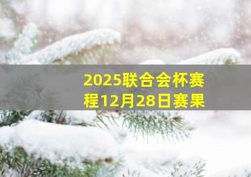 2025联合会杯赛程12月28日赛果