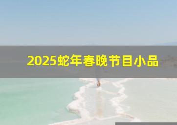 2025蛇年春晚节目小品