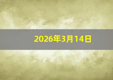 2026年3月14日