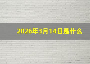 2026年3月14日是什么