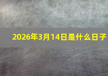 2026年3月14日是什么日子