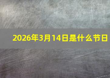 2026年3月14日是什么节日