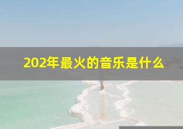 202年最火的音乐是什么