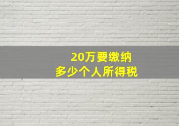 20万要缴纳多少个人所得税