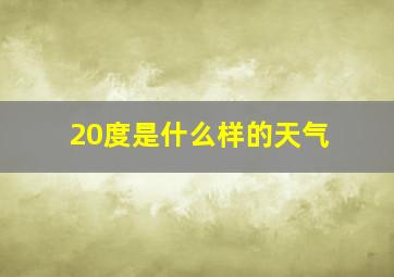 20度是什么样的天气