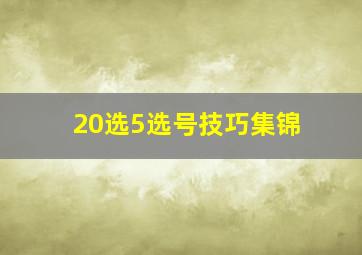 20选5选号技巧集锦