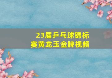 23届乒乓球锦标赛黄龙玉金牌视频