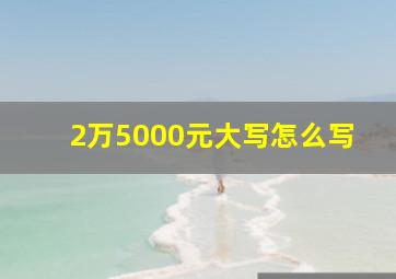 2万5000元大写怎么写