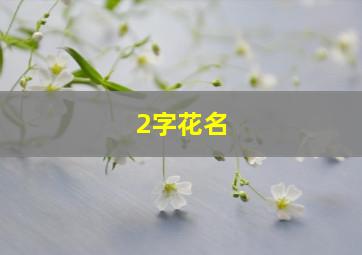 2字花名