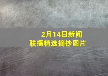 2月14日新闻联播精选摘抄图片