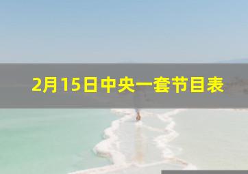 2月15日中央一套节目表