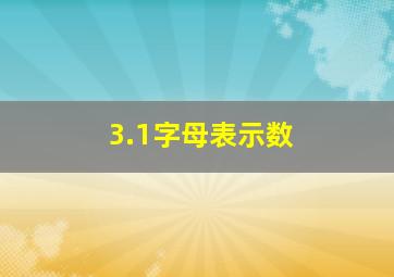 3.1字母表示数