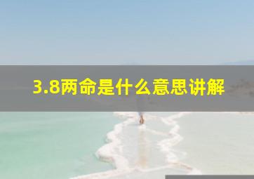 3.8两命是什么意思讲解