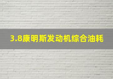 3.8康明斯发动机综合油耗