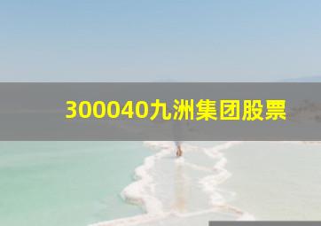 300040九洲集团股票