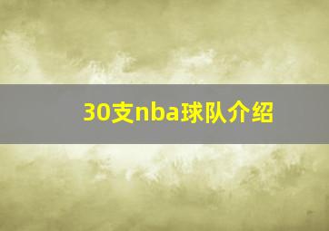 30支nba球队介绍