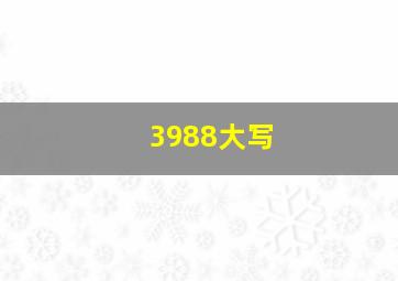 3988大写