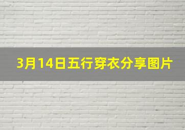 3月14日五行穿衣分享图片