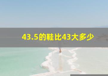 43.5的鞋比43大多少