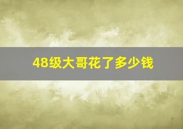 48级大哥花了多少钱