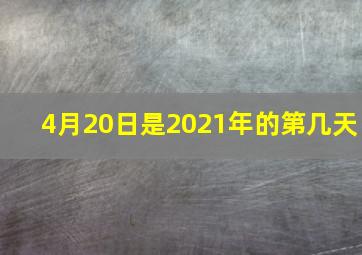 4月20日是2021年的第几天