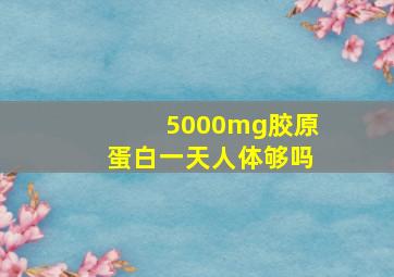 5000mg胶原蛋白一天人体够吗