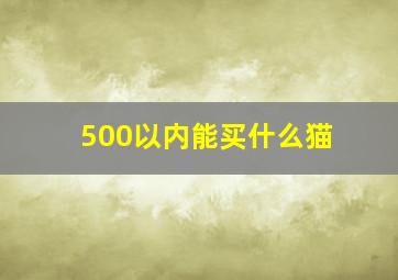 500以内能买什么猫