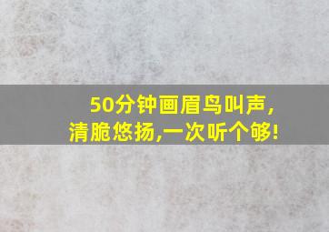 50分钟画眉鸟叫声,清脆悠扬,一次听个够!