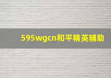 595wgcn和平精英辅助