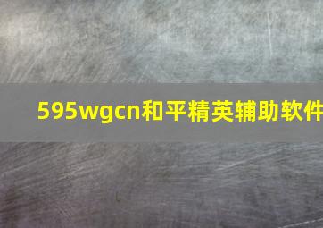 595wgcn和平精英辅助软件