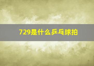 729是什么乒乓球拍