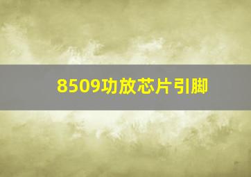 8509功放芯片引脚