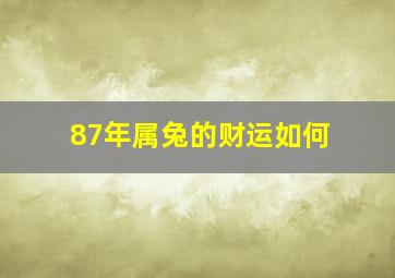 87年属兔的财运如何