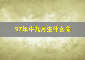 97年牛九月生什么命