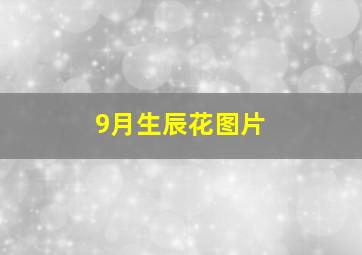 9月生辰花图片