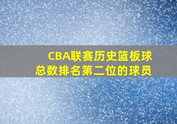 CBA联赛历史篮板球总数排名第二位的球员